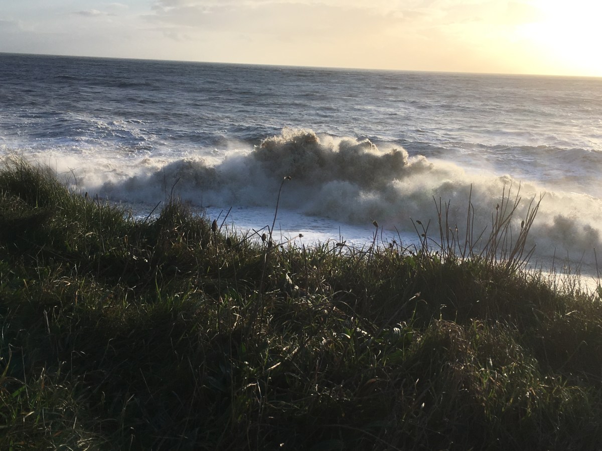 ‘Sharks may be&nbsp;present’